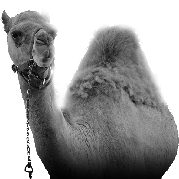 profesyonel teklif hazırlama.